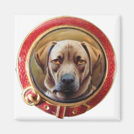 MINIATURE DOG PORTRAITS Chocolate Labrador Magneet (Voorkant)