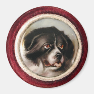 MINIATURE DOG PORTRAITS Newfoundland Magneet