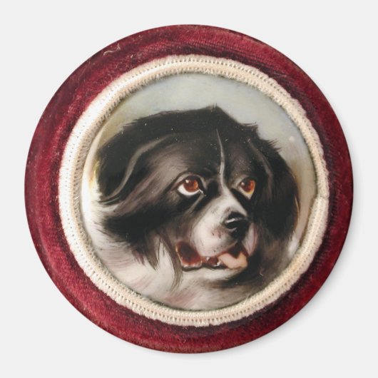 MINIATURE DOG PORTRAITS Newfoundland Magneet (Voorkant)