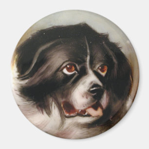 MINIATURE DOG PORTRAITS Newfoundland Magneet