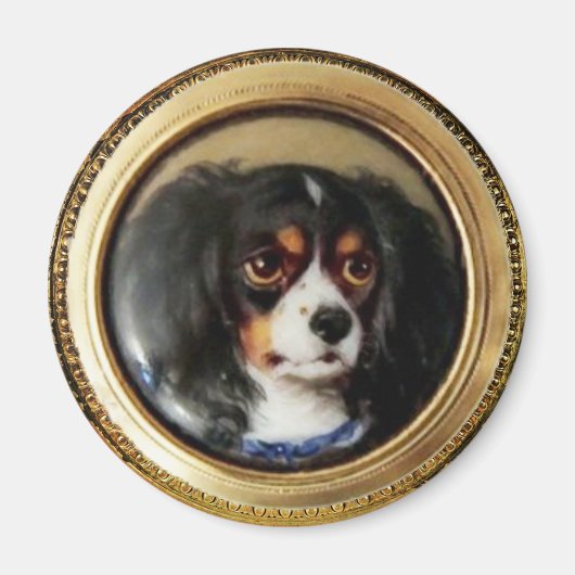 MINIATURE DOG PORTRAITS Tricolor Spaniel Magneet (Voorkant)
