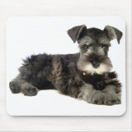 Miniature Gray Schnauzer Puppy Dog Muismat
