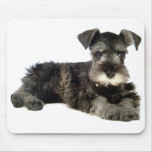 Miniature Gray Schnauzer Puppy Dog Muismat