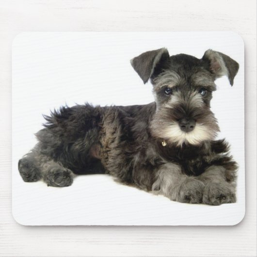 Miniature Gray Schnauzer Puppy Dog Muismat (Voorkant)