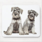 Miniature Gray Schnauzer Puppy Dog Muismat (Voorkant)