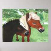 Miniature Horses Poster (Voorkant)