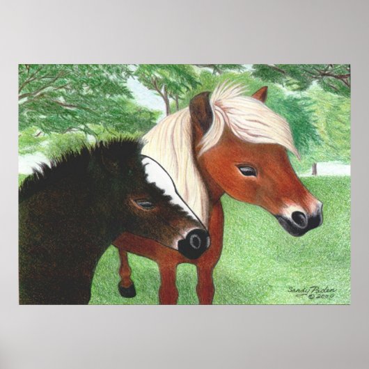 Miniature Horses Poster (Voorkant)