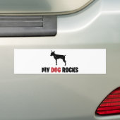 Miniature Pinscher Bumpersticker (Op auto)