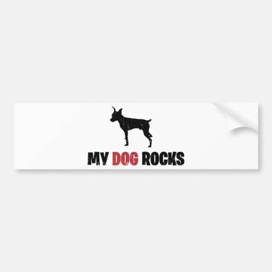 Miniature Pinscher Bumpersticker (Voorkant)