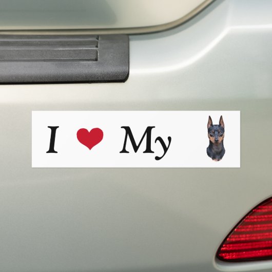 Miniature Pinscher Bumpersticker (Op auto)