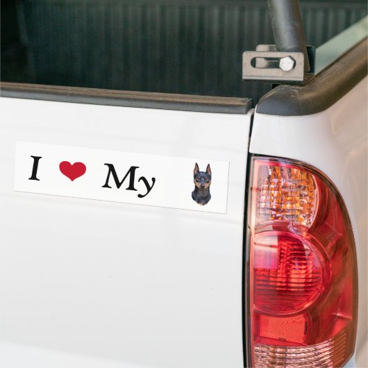 Miniature Pinscher Bumpersticker (Op Truck)