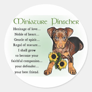 Miniature Pinscher Gifts Ronde Sticker