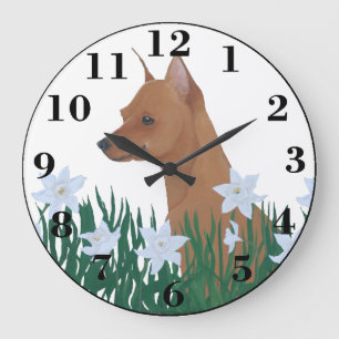 Miniature Pinscher Grote Klok