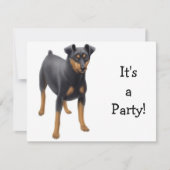 Miniature Pinscher Invitation Kaart (Voorkant)