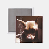 Miniature Pinscher Magneet (Voorkant / Achterkant)