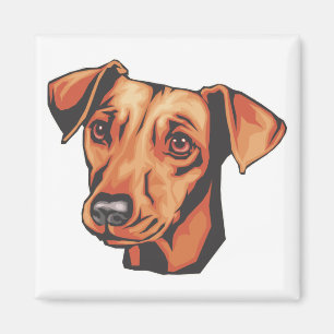 Miniature Pinscher Magneet
