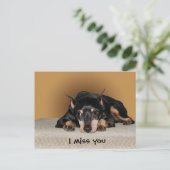 Miniature Pinscher ook bekend als Min Pin Briefkaart (Staand voorkant)
