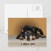 Miniature Pinscher ook bekend als Min Pin Briefkaart (Voorkant / Achterkant)