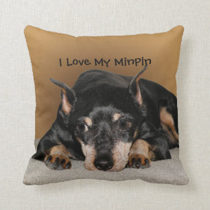 Miniature Pinscher ook bekend als Min Pin Love Pet Kussen