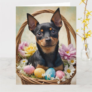 Miniature Pinscher Pasen Eieren Kaart