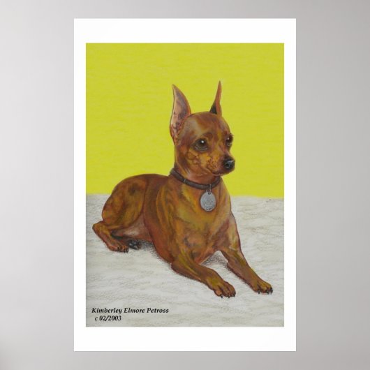 Miniature Pinscher Poster (Voorkant)
