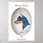 Miniature Pinscher Poster (Voorkant)