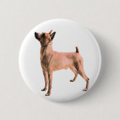 Miniature Pinscher Ronde Button 5,7 Cm (Voorkant)
