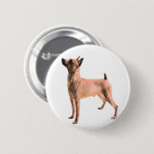 Miniature Pinscher Ronde Button 5,7 Cm (Voorkant /achterkant)
