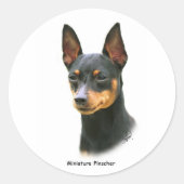 Miniature Pinscher Ronde Sticker (Voorkant)