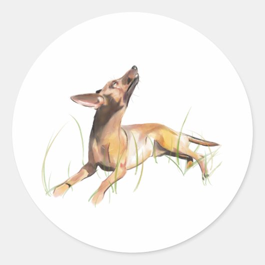Miniature Pinscher Sticker Etiket (Voorkant)