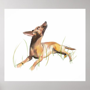 Miniature Pinscher Sticker Etiket Poster