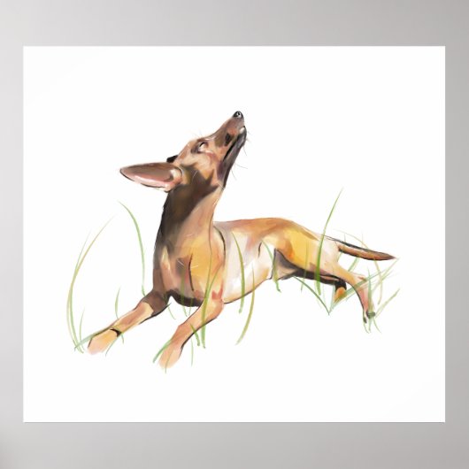 Miniature Pinscher Sticker Etiket Poster (Voorkant)