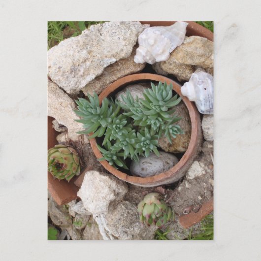 Miniature Rockery Briefkaart (Voorkant)