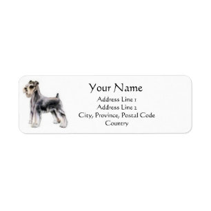 Miniature Schnauzer Adresetiketten Etiket