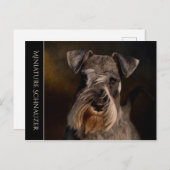 Miniature Schnauzer Briefkaart (Voorkant / Achterkant)