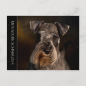 Miniature Schnauzer Briefkaart (Voorkant)