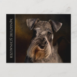 Miniature Schnauzer Briefkaart