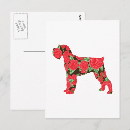 Miniature Schnauzer Briefkaart (Voorkant / Achterkant)