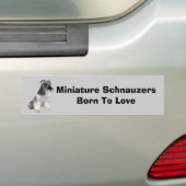 Miniature Schnauzer Bumpersticker (Op auto)