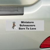 Miniature Schnauzer Bumpersticker (Op auto)