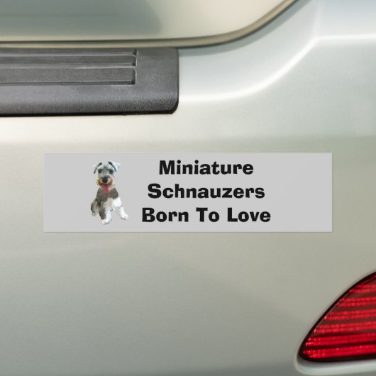 Miniature Schnauzer Bumpersticker (Op auto)