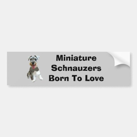 Miniature Schnauzer Bumpersticker (Voorkant)