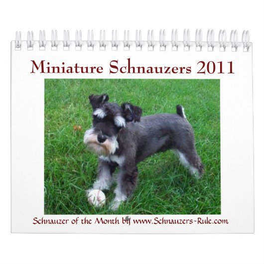 Miniature Schnauzer Calendar 2016 Kalender (Hoes)