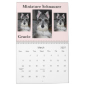 Miniature Schnauzer Calendar Kalender (Mar 2027)