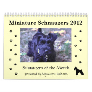 Miniature Schnauzer Calendar Kalender