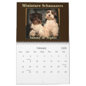 Miniature Schnauzer Calendar Kalender (Feb 2026)