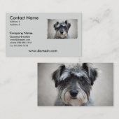 Miniature Schnauzer Dog Visitekaartje (Voorkant / Achterkant)