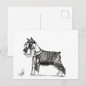 MINIATURE SCHNAUZER FEESTDAGENKAART (Voorkant / Achterkant)