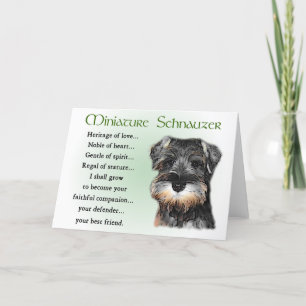 Miniature Schnauzer Gifts Kaart