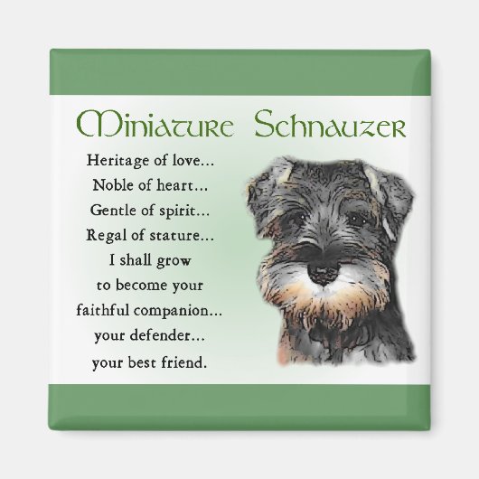 Miniature Schnauzer Gifts Magneet (Voorkant)